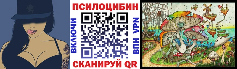 Купить закладки  Темрюк  Псилоцибиновые грибы мицелий 